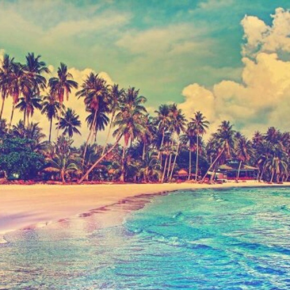 Meet your Posher, Pamela